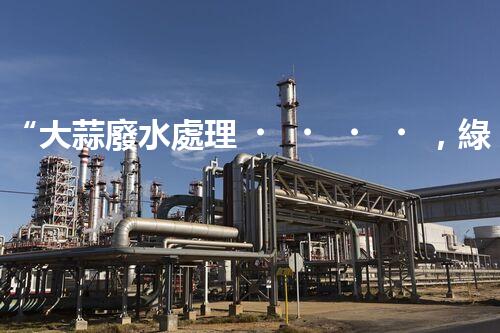 “大蒜廢水處理，綠色環(huán)保新篇章”